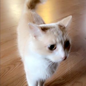 Meet your Posher, Alexis